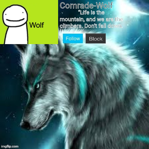 High Quality Wolf's 2nd announcement Blank Meme Template
