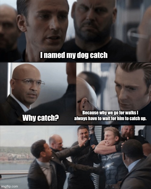 Ah yes | I named my dog catch; Because why we go for walks I always have to wait for him to catch up. Why catch? | image tagged in captin america in elavator | made w/ Imgflip meme maker