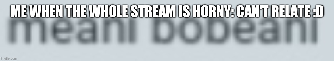 I've never been horny lmao -Jaiden | ME WHEN THE WHOLE STREAM IS HORNY: CAN'T RELATE :D | image tagged in meani bobeani | made w/ Imgflip meme maker
