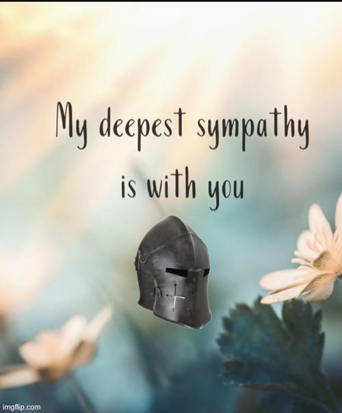 Crusader Knight my deepest sympathy is with you | image tagged in crusader knight my deepest sympathy is with you,sympathy,crusader,knight,new template,custom template | made w/ Imgflip meme maker