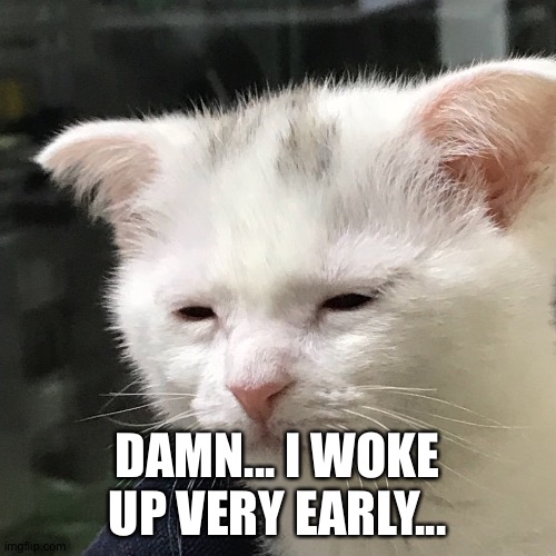 It's like 2 AM for me... | DAMN... I WOKE UP VERY EARLY... | image tagged in i'm awake but at what cost | made w/ Imgflip meme maker