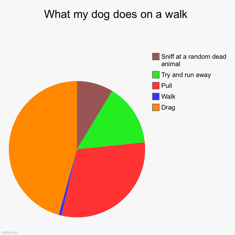 What my dog does on a walk | Drag, Walk, Pull, Try and run away, Sniff at a random dead animal | image tagged in charts,pie charts | made w/ Imgflip chart maker