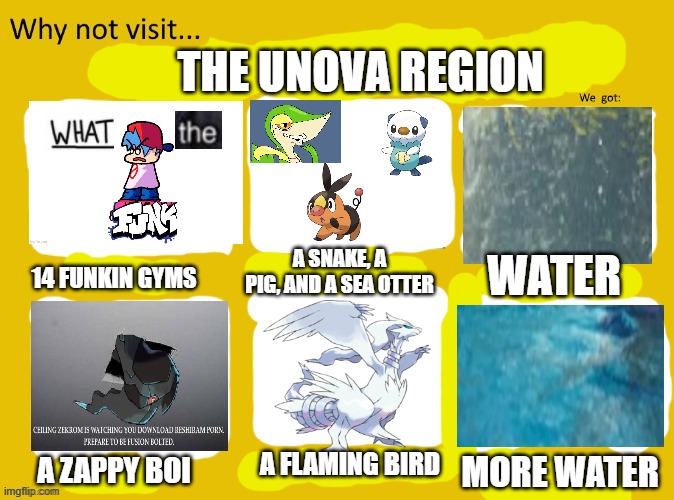 yay it didn't load and it's safe | THE UNOVA REGION; A SNAKE, A PIG, AND A SEA OTTER; 14 FUNKIN GYMS; WATER; A FLAMING BIRD; A ZAPPY BOI; MORE WATER | image tagged in why not visit | made w/ Imgflip meme maker