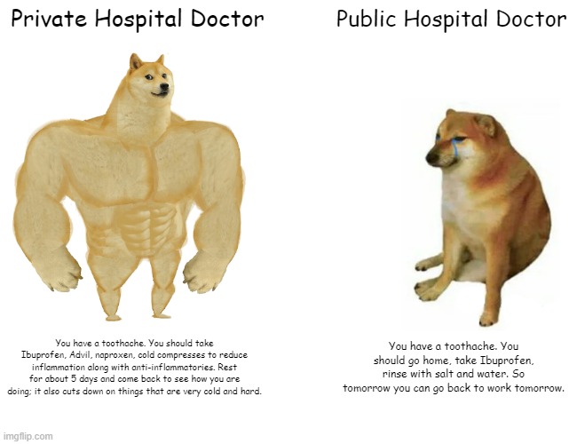 Buff Doge vs. Cheems | Private Hospital Doctor; Public Hospital Doctor; You have a toothache. You should take Ibuprofen, Advil, naproxen, cold compresses to reduce inflammation along with anti-inflammatories. Rest for about 5 days and come back to see how you are doing; it also cuts down on things that are very cold and hard. You have a toothache. You should go home, take Ibuprofen, rinse with salt and water. So tomorrow you can go back to work tomorrow. | image tagged in memes,buff doge vs cheems | made w/ Imgflip meme maker