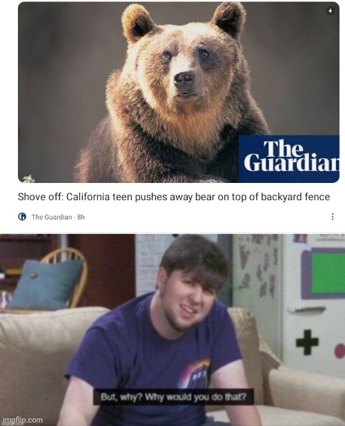 Just Why | image tagged in why | made w/ Imgflip meme maker