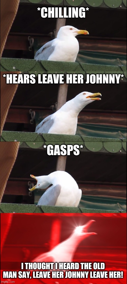 sea shanty gull | *CHILLING*; *HEARS LEAVE HER JOHNNY*; *GASPS*; I THOUGHT I HEARD THE OLD MAN SAY, LEAVE HER JOHNNY LEAVE HER! | image tagged in memes,inhaling seagull | made w/ Imgflip meme maker