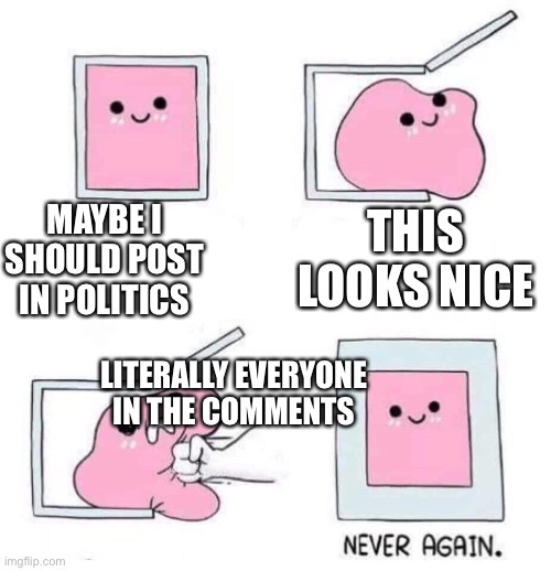 Never again | MAYBE I SHOULD POST IN POLITICS; THIS LOOKS NICE; LITERALLY EVERYONE IN THE COMMENTS | image tagged in never again | made w/ Imgflip meme maker