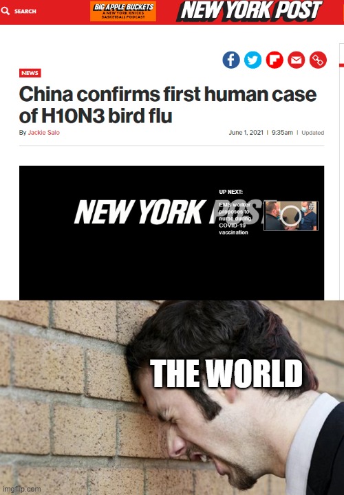 One is enough, China! | THE WORLD | image tagged in banging head against wall | made w/ Imgflip meme maker