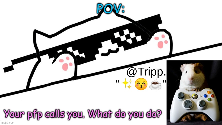 Your PFP calls you. | POV:; Your pfp calls you. What do you do? | image tagged in tripp 's very awesome temp d | made w/ Imgflip meme maker