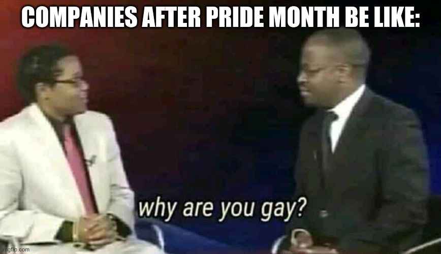 its kinda accurate |  COMPANIES AFTER PRIDE MONTH BE LIKE: | image tagged in why are you gay | made w/ Imgflip meme maker