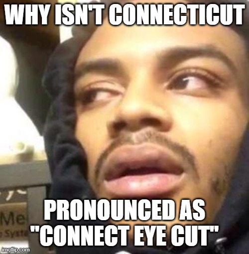 Why isn't Connecticut pronounced as "Connect Eye Cut" | WHY ISN'T CONNECTICUT; PRONOUNCED AS "CONNECT EYE CUT" | image tagged in hits blunt | made w/ Imgflip meme maker