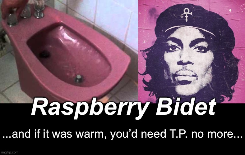 Raspberry Beret | Raspberry Bidet; ...and if it was warm, you’d need T.P. no more... | image tagged in funny memes,bidet | made w/ Imgflip meme maker