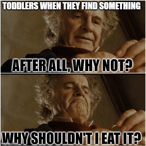 toddlers | TODDLERS WHEN THEY FIND SOMETHING; AFTER ALL, WHY NOT? WHY SHOULDN'T I EAT IT? | image tagged in toddler | made w/ Imgflip meme maker