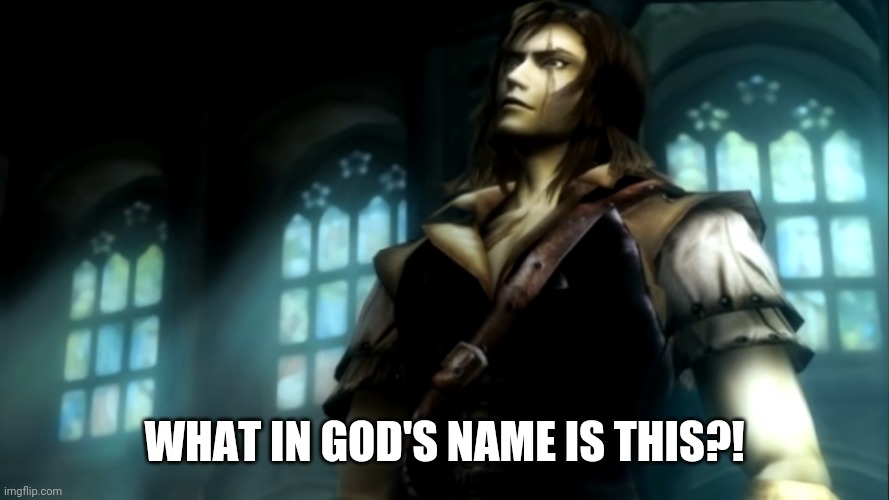 Curse of darkness and trevor | WHAT IN GOD'S NAME IS THIS?! | image tagged in castlevania | made w/ Imgflip meme maker