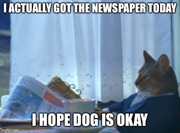 I Should Buy A Boat Cat Meme | I ACTUALLY GOT THE NEWSPAPER TODAY; I HOPE DOG IS OKAY | image tagged in memes,i should buy a boat cat | made w/ Imgflip meme maker