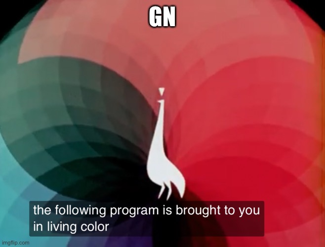 The following program is brought to you in living color | GN | image tagged in the following program is brought to you in living color | made w/ Imgflip meme maker