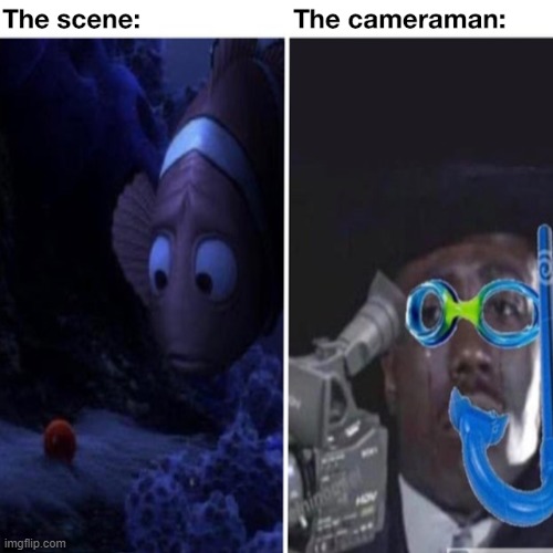 image tagged in cameraman,finding nemo,memes | made w/ Imgflip meme maker