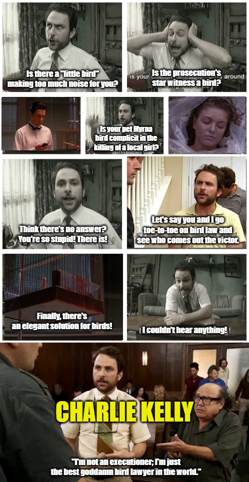 Charlie Kelly: Best Goddamned Bird Lawyer in the World (but not an executioner) | Is the prosecution's star witness a bird? Is there a "little bird" making too much noise for you? Is your pet Myrna bird complicit in the killing of a local girl? Let's say you and I go toe-to-toe on bird law and see who comes out the victor. Think there's no answer? You're so stupid! There is! Finally, there's an elegant solution for birds! I couldn't hear anything! CHARLIE KELLY; "I'm not an executioner; I'm just the best goddamn bird lawyer in the world." | image tagged in its always sunny in philadelphia,twin peaks | made w/ Imgflip meme maker