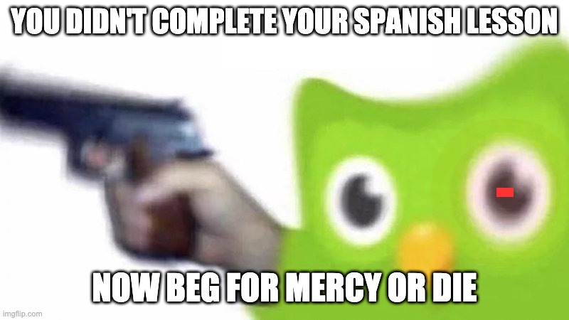Duolingo Bird | YOU DIDN'T COMPLETE YOUR SPANISH LESSON; -; NOW BEG FOR MERCY OR DIE | image tagged in duolingo gun | made w/ Imgflip meme maker