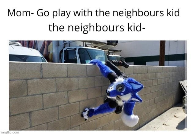 i wanna sweet home alabama this kid | image tagged in memes,funny,neighbors,kid,furry,spiderman | made w/ Imgflip meme maker
