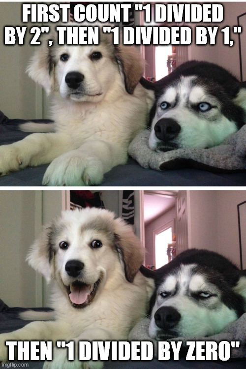 Bad pun dogs | FIRST COUNT "1 DIVIDED BY 2", THEN "1 DIVIDED BY 1," THEN "1 DIVIDED BY ZERO" | image tagged in bad pun dogs | made w/ Imgflip meme maker