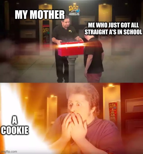 bruh | MY MOTHER; ME WHO JUST GOT ALL STRAIGHT A'S IN SCHOOL; A COOKIE | image tagged in flex seal john | made w/ Imgflip meme maker