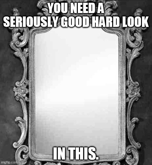 Mirror | YOU NEED A SERIOUSLY GOOD HARD LOOK IN THIS. | image tagged in mirror | made w/ Imgflip meme maker