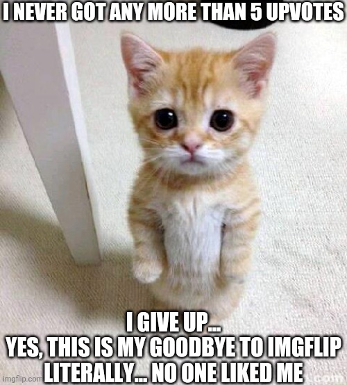 This is my debut | I NEVER GOT ANY MORE THAN 5 UPVOTES; I GIVE UP...
YES, THIS IS MY GOODBYE TO IMGFLIP
LITERALLY... NO ONE LIKED ME | image tagged in memes,cute cat,goodbye | made w/ Imgflip meme maker