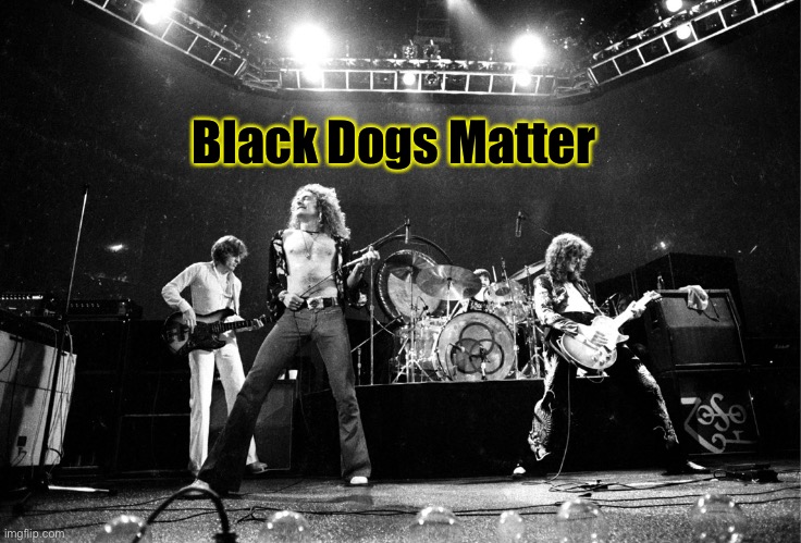 Led Zeppelin No Quarter | Black Dogs Matter | image tagged in led zeppelin no quarter | made w/ Imgflip meme maker