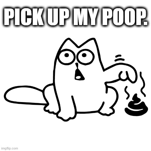 Hurry!!! Hurry!!! | PICK UP MY POOP. | image tagged in memes,comics,cats,pick,up,poop | made w/ Imgflip meme maker