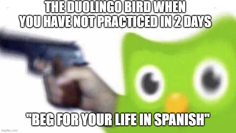 a mock meme | THE DUOLINGO BIRD WHEN YOU HAVE NOT PRACTICED IN 2 DAYS; "BEG FOR YOUR LIFE IN SPANISH" | image tagged in duolingo gun | made w/ Imgflip meme maker