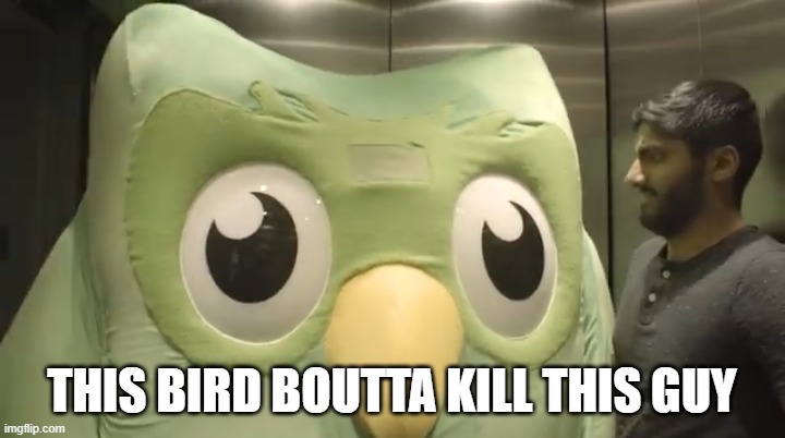 a mock meme | THIS BIRD BOUTTA KILL THIS GUY | image tagged in duolingo plush | made w/ Imgflip meme maker