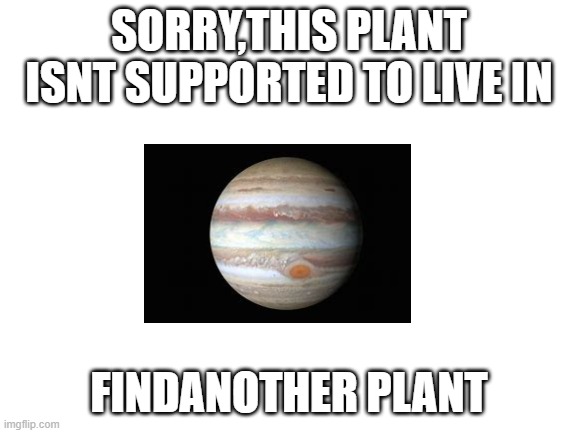 Blank White Template | SORRY,THIS PLANT ISNT SUPPORTED TO LIVE IN; FINDANOTHER PLANT | image tagged in blank white template | made w/ Imgflip meme maker