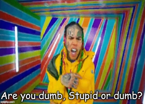 Are you dumb stupid or dumb? | image tagged in are you dumb stupid or dumb | made w/ Imgflip meme maker