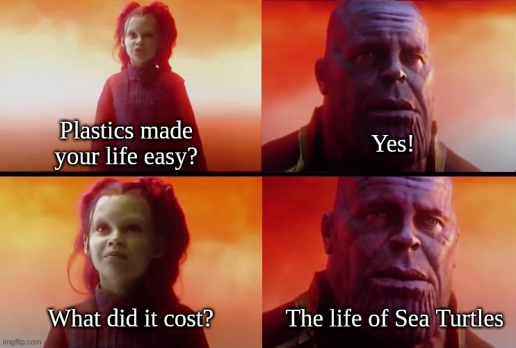 Plastic Pollution | Plastics made your life easy? Yes! The life of Sea Turtles; What did it cost? | image tagged in what did it cost | made w/ Imgflip meme maker