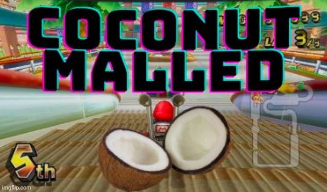 coconut malled | image tagged in e | made w/ Imgflip meme maker