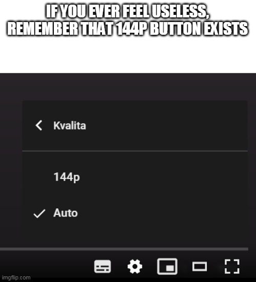 This photo is not taken by me | IF YOU EVER FEEL USELESS, REMEMBER THAT 144P BUTTON EXISTS | image tagged in 144p,memes,idk what to put for tags | made w/ Imgflip meme maker