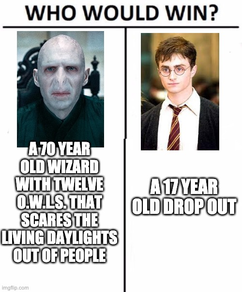 there once was a boy name harry, who was destined to be a star. |  A 70 YEAR OLD WIZARD WITH TWELVE O.W.L.S. THAT SCARES THE LIVING DAYLIGHTS OUT OF PEOPLE; A 17 YEAR OLD DROP OUT | image tagged in memes,who would win,harry potter,voldemort | made w/ Imgflip meme maker