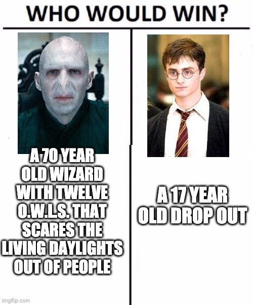 there once was a boy name harry, who was destined to be a star. | A 70 YEAR OLD WIZARD WITH TWELVE O.W.L.S. THAT SCARES THE LIVING DAYLIGHTS OUT OF PEOPLE; A 17 YEAR OLD DROP OUT | image tagged in memes,who would win,harry potter,voldemort | made w/ Imgflip meme maker