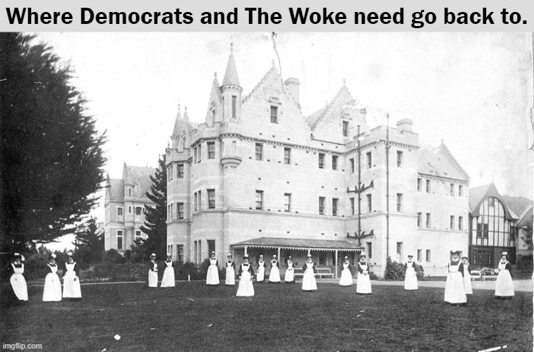 Home Of The Woke | Where Democrats and The Woke need go back to. | image tagged in democrats,woke,dingleballs | made w/ Imgflip meme maker