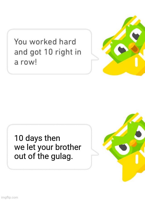 Gulag | 10 days then we let your brother out of the gulag. | image tagged in duolingo 10 in a row | made w/ Imgflip meme maker