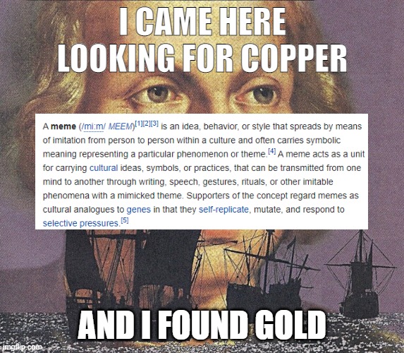 What is a meme | I CAME HERE LOOKING FOR COPPER; AND I FOUND GOLD | image tagged in i came looking for copper and i found gold | made w/ Imgflip meme maker