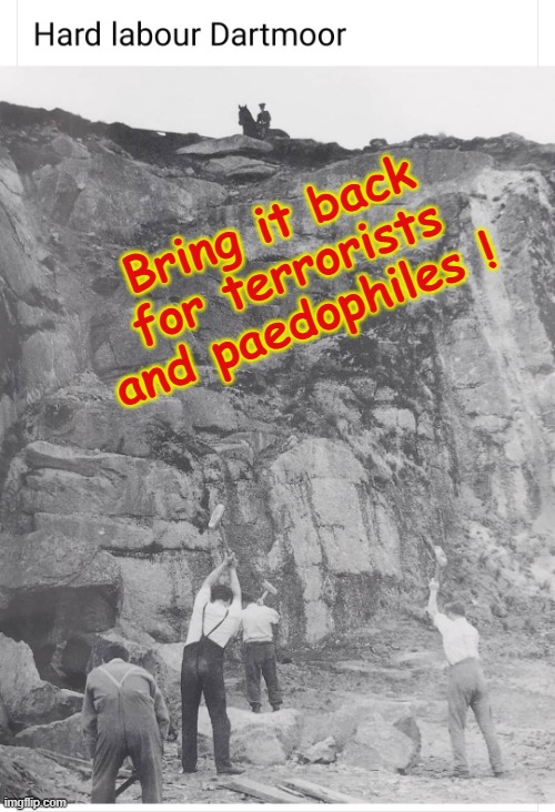 Bring back Hard Labour ! | Bring it back
for terrorists
and paedophiles ! | image tagged in rock bottom | made w/ Imgflip meme maker