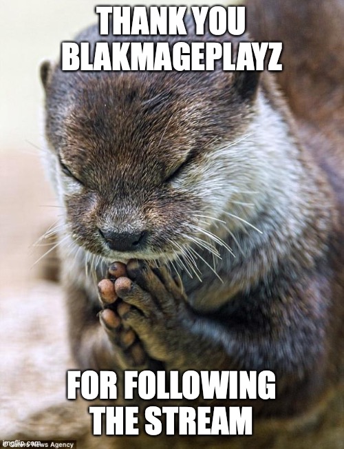 Thank you Lord Otter | THANK YOU BLAKMAGEPLAYZ; FOR FOLLOWING THE STREAM | image tagged in thank you lord otter,eym | made w/ Imgflip meme maker