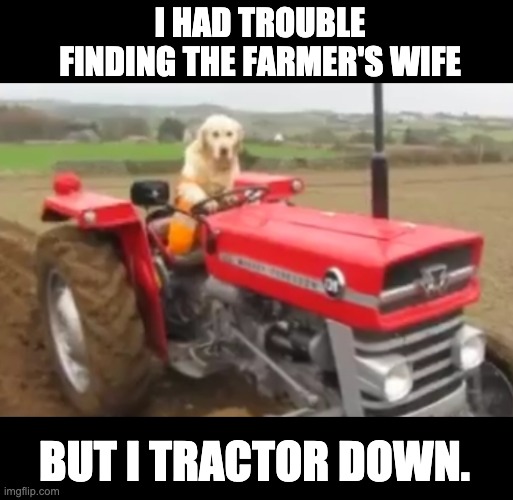 Tractor | I HAD TROUBLE FINDING THE FARMER'S WIFE; BUT I TRACTOR DOWN. | image tagged in farmer doggo | made w/ Imgflip meme maker
