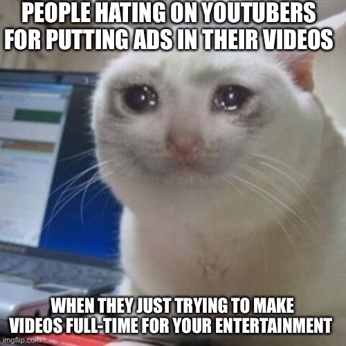 It’s true bruh | PEOPLE HATING ON YOUTUBERS FOR PUTTING ADS IN THEIR VIDEOS; WHEN THEY JUST TRYING TO MAKE VIDEOS FULL-TIME FOR YOUR ENTERTAINMENT | image tagged in crying cat,cat,cute,youtube,youtubers,funny | made w/ Imgflip meme maker