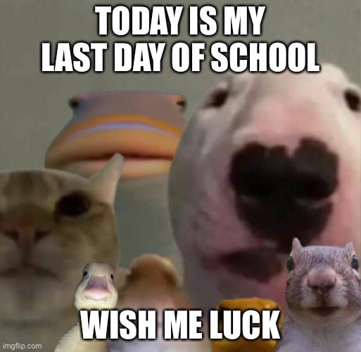 I don’t need to go yet but still | TODAY IS MY LAST DAY OF SCHOOL; WISH ME LUCK | image tagged in the council remastered | made w/ Imgflip meme maker