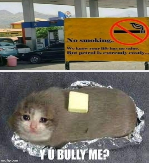 Y U BULLY me crying cat burrito | image tagged in y u bully me crying cat burrito | made w/ Imgflip meme maker