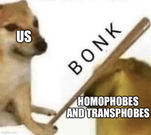Let's bonk them | US; HOMOPHOBES AND TRANSPHOBES | image tagged in bonk,homophobe,transphobe | made w/ Imgflip meme maker
