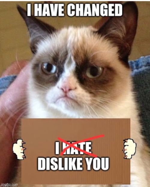 [insert sus title here] | image tagged in grumpy cat | made w/ Imgflip meme maker